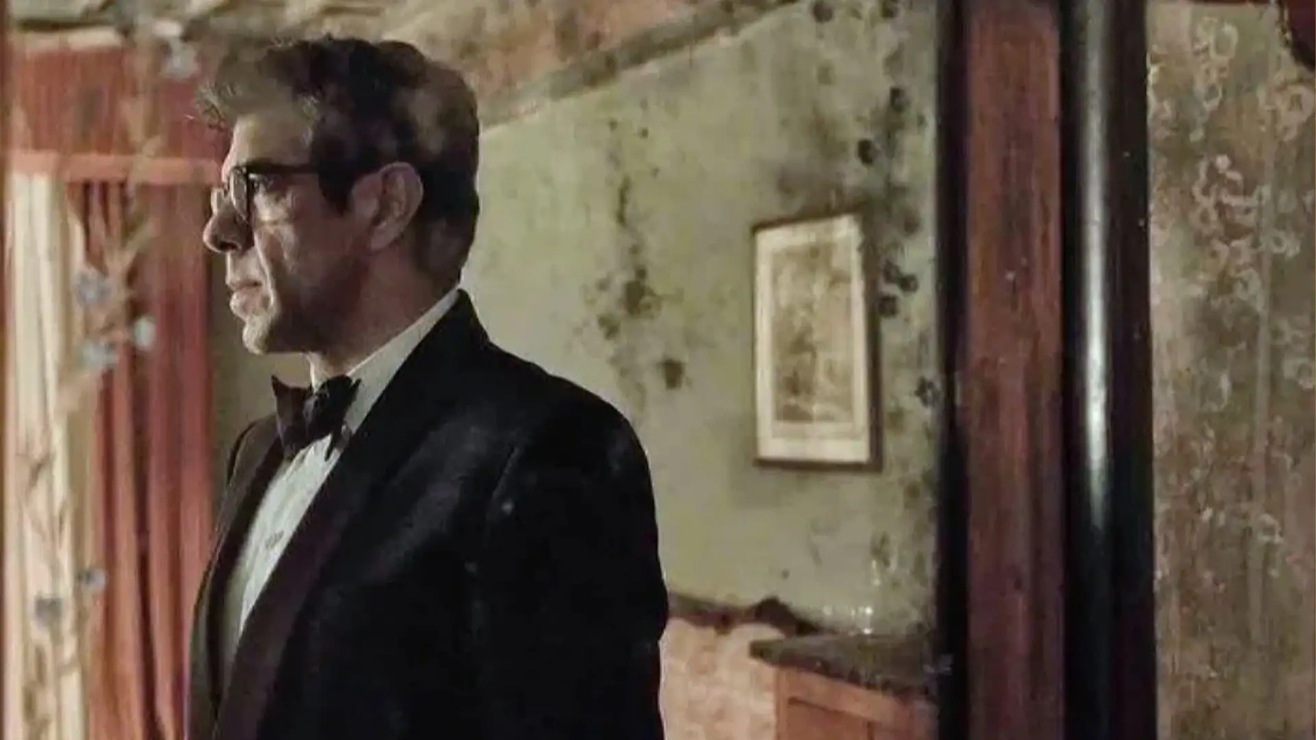 مرغ مگس خوار